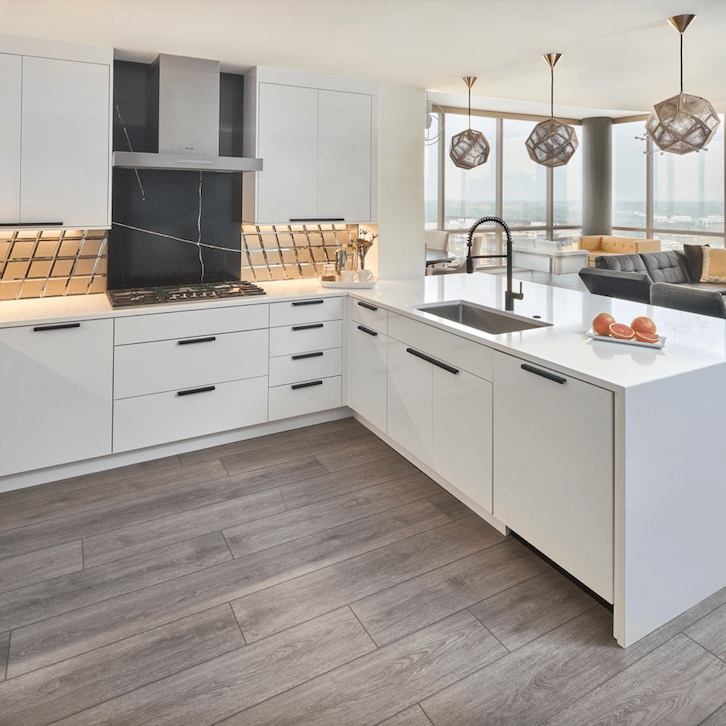 South End Condo Kitchen Remodel